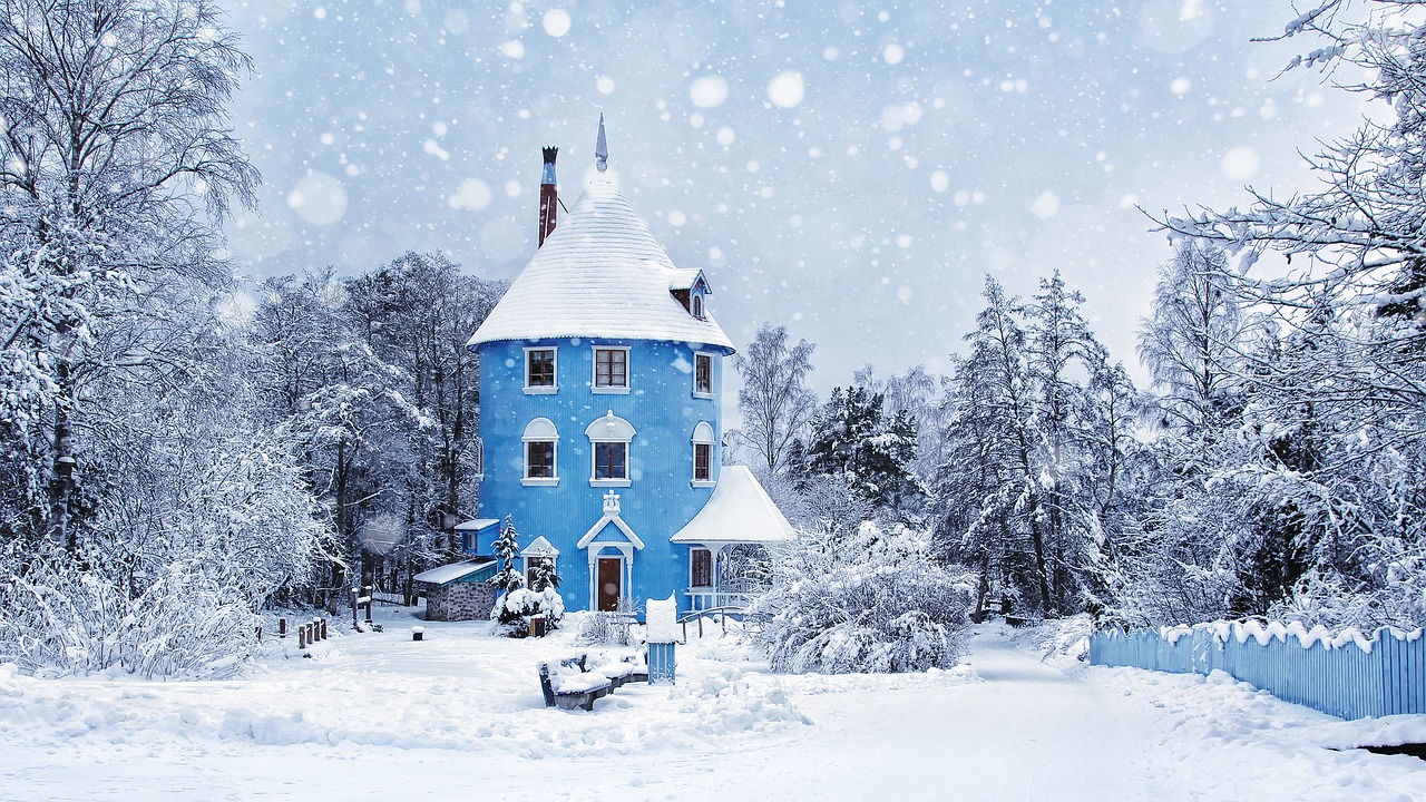 フィンランドの冬